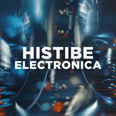 FLEX | Histibe Electronica