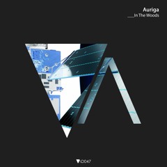 In The Woods(Original Mix) - Auriga (SP) - Snippet [Addeepted]