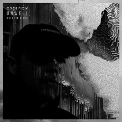 Overview Guest Mix 004: Unwell