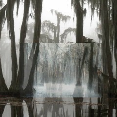 Enchanted Swamp Ambience