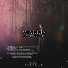 Wallis - Coming To Get You (Original mix)