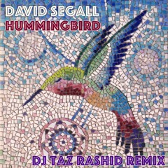 Hummingbird (DJ Taz Rashid Remix)
