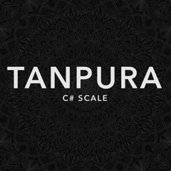 (C#) C Sharp Tanpura