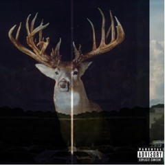 Dassalildrip (feat. Halluciniinja & Yesnomaybe)