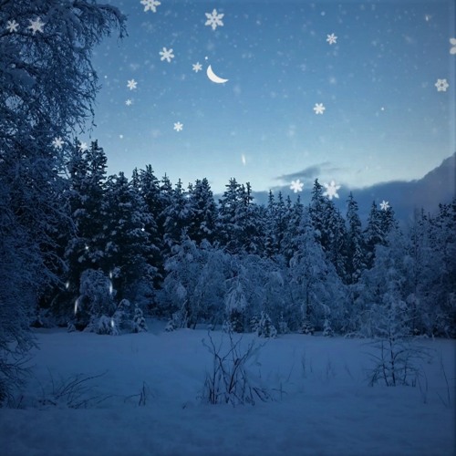 Snowflakes So Quietly