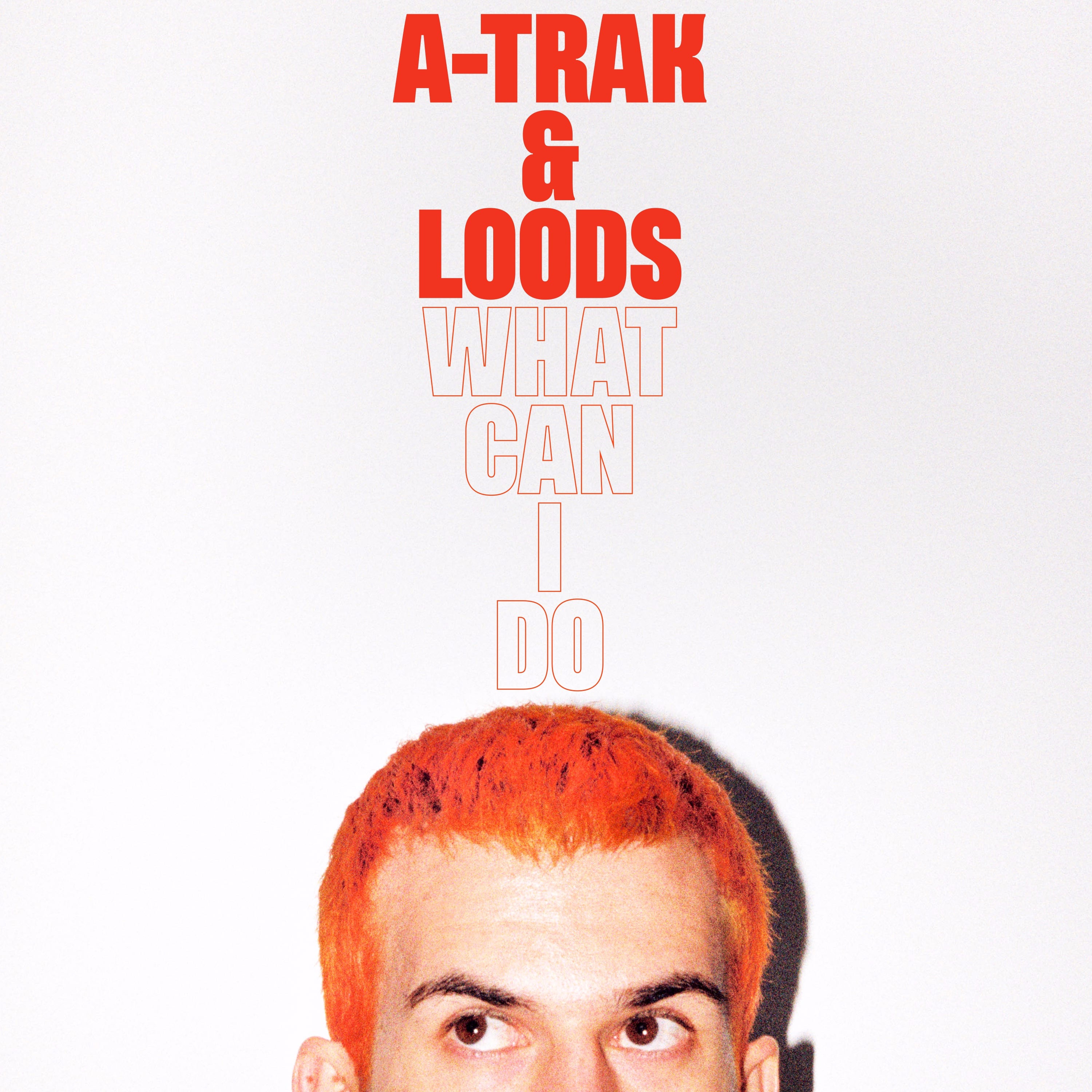 Shkarko A-Trak & Loods - What Can I Do