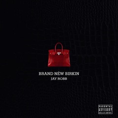 Brand New Birkin1 - JayRobb