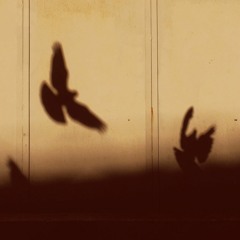 Minor Empire - Karahisar Kalesi