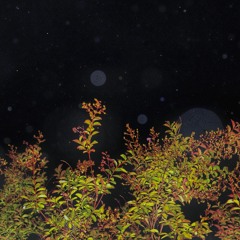 RAEDER x CANCZER - Departed