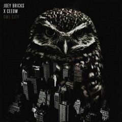 JOEY BRICKS X CEEOW - OWL CITY