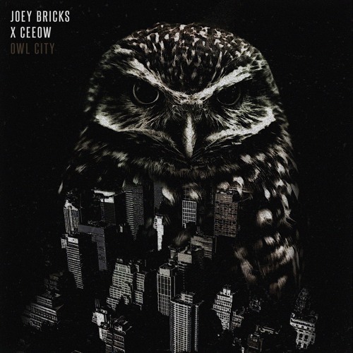 JOEY BRICKS X CEEOW - OWL CITY