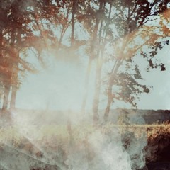 endless forest (lyrics in desc.)