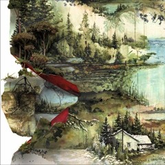 Bon Iver - Perth (Domus Bootleg)