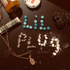Bricks-Lil PluG