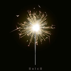 Unico Fiesta - BIRTHDAY LIVE HOUSE SET