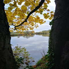 If I Could Stop Time (Original Song)