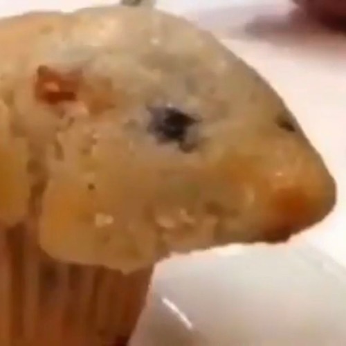 that muffin is looking awfully like a hamster