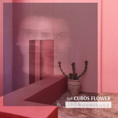 SET | Cubos Flower 🌺 V1 - Igor .Rodrigues