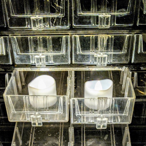 Mystery Schools (revision)