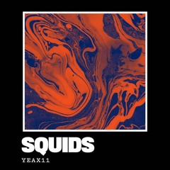 Squids - Yeax11 (Fraser's Critical Window Mix)
