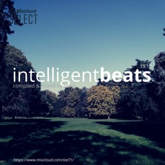 Intelligent beats '19.12 (selection preview)