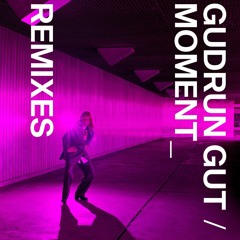Gudrun Gut - Musik (Paul Frick Remix)