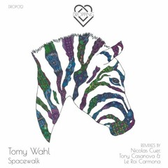 PREMIERE : Tomy Wahl - Spacewalk (Tony Casanova Remix) [Jaw Dropping]