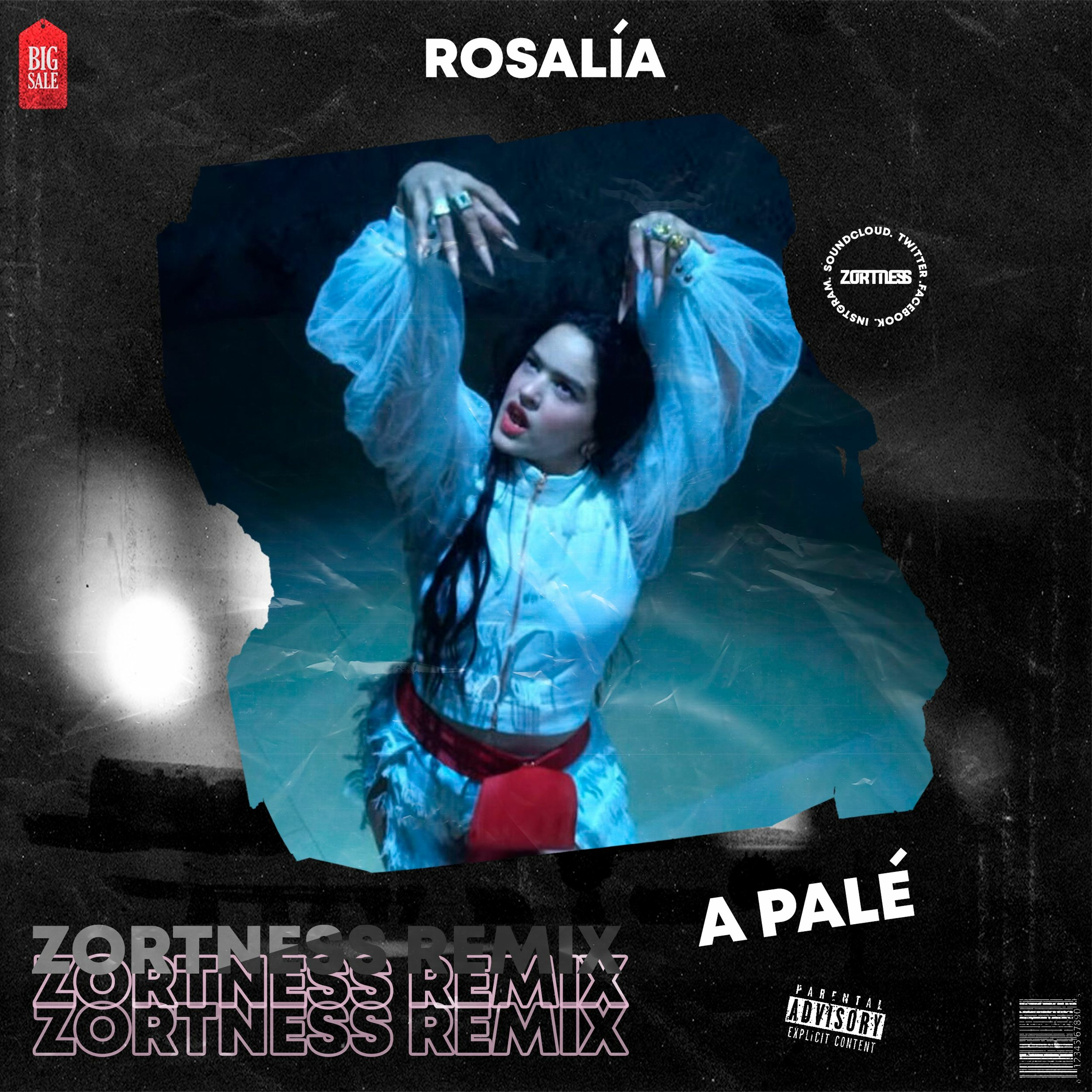 ZORTNESS