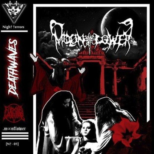 GHOSTOFBLU - PULL THE PLUG [PROD .ʍօօռʄʟօաɛʀ.]