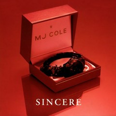 Insincere (feat. JJ Louis)