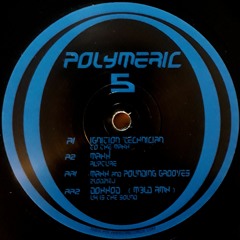 MAXX ROSSI - Rupture [Polymeric 5] Preview