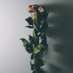 Stepping Over Hearts