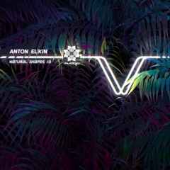 Mudra podcast / Anton El'kin - Natural Shapes #3 [MM93]