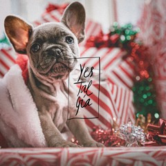 Xmas 2023
