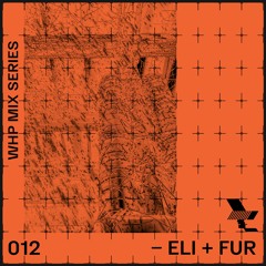 WHP19 MIX 012 /// ELI & FUR