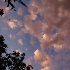 jersey on the wall // tenille townes