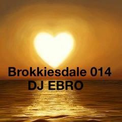 DJ Ebro - Brokkiesdale 014