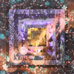 Bend & Break (Live Acoustic)