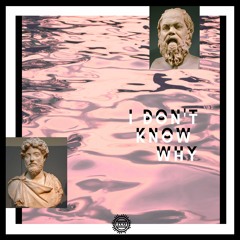 I Don't Know Why (prod. youngdononthesong)(unmixed unmastered)