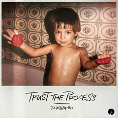 Dombresky - Trust The Process