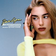 Dua Lipa - Don't Start Now (Andre Grossi Remix)