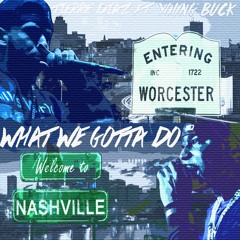What We Gotta Do (ft. Young Buck)