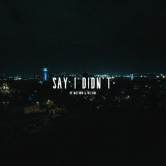Wizard & Matbow - Say I Didn't