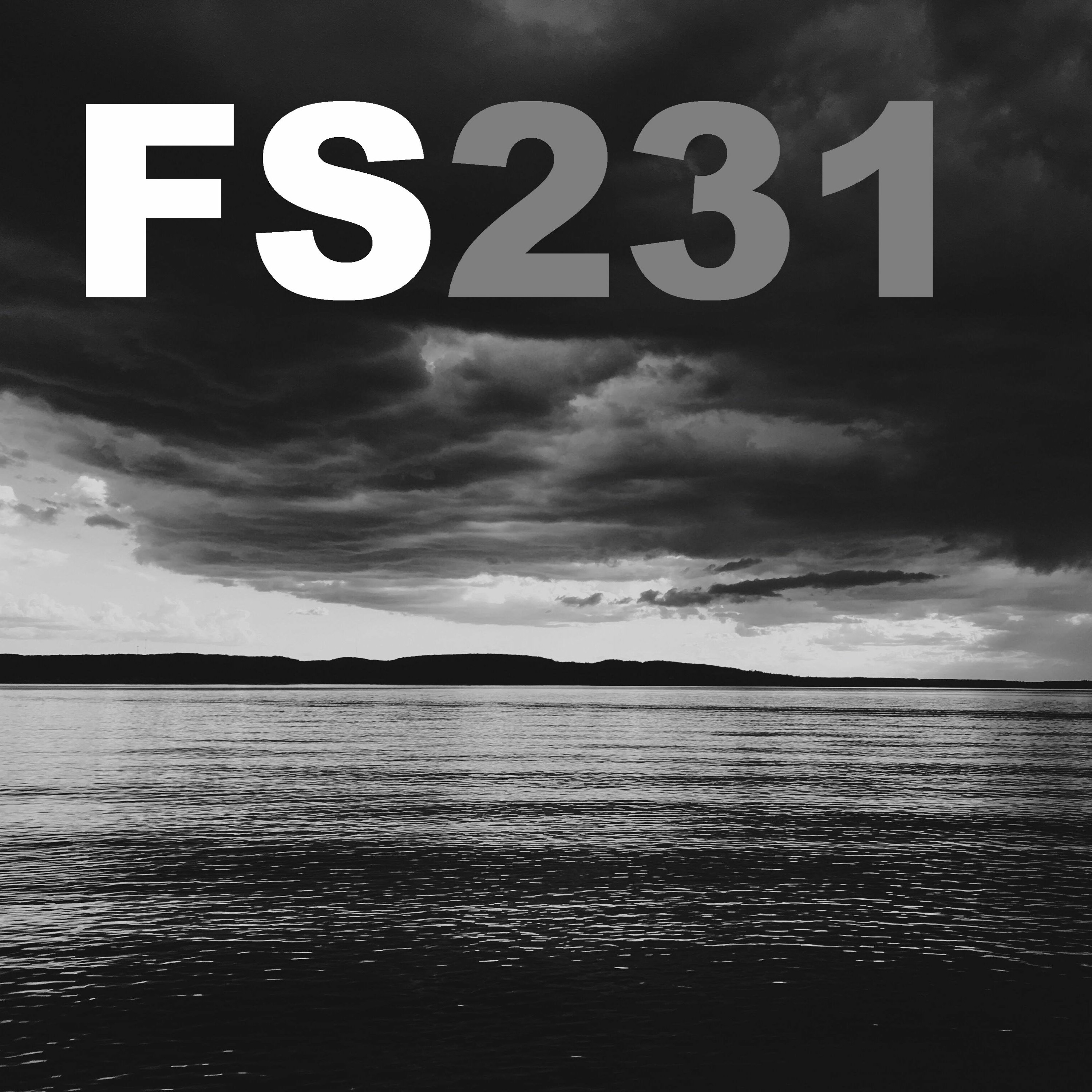 Fatsoenlijke Serie