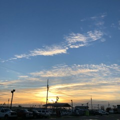 Leave You In The Dust Final- Rarri (Prod. Birdie Bands)