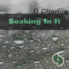 D Charles - Soaking In It - SAVORY039