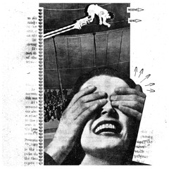 Another Day At The Zoo