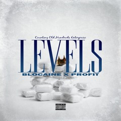 Official Audio "Levels" -Blocaine & Profit