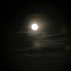 Conchita Live @ Valle (GM)