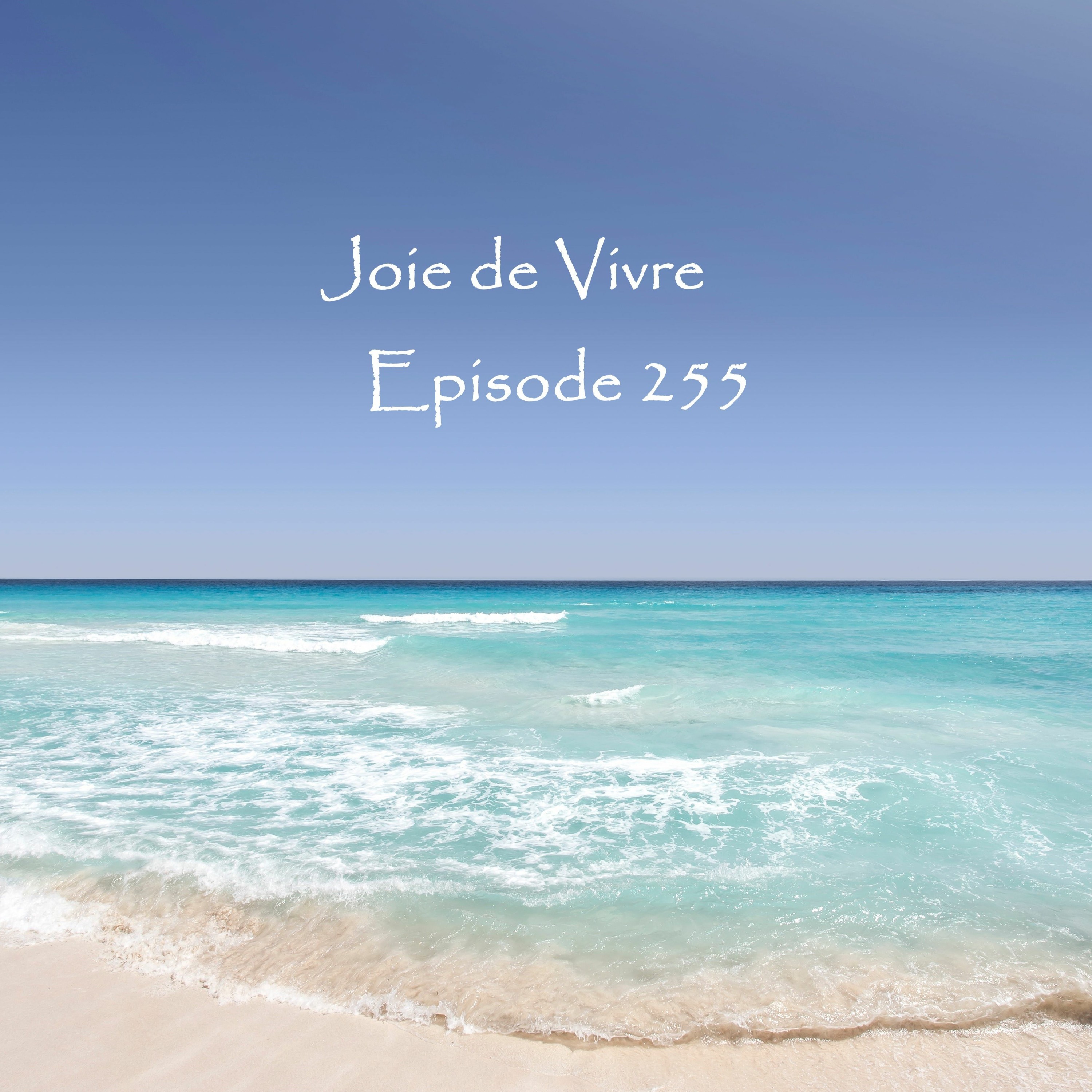 Joie de Vivre - Episode 255 (Join JdV 5th Year Anniversary Mix on Jan 2, 2020) episode artwork